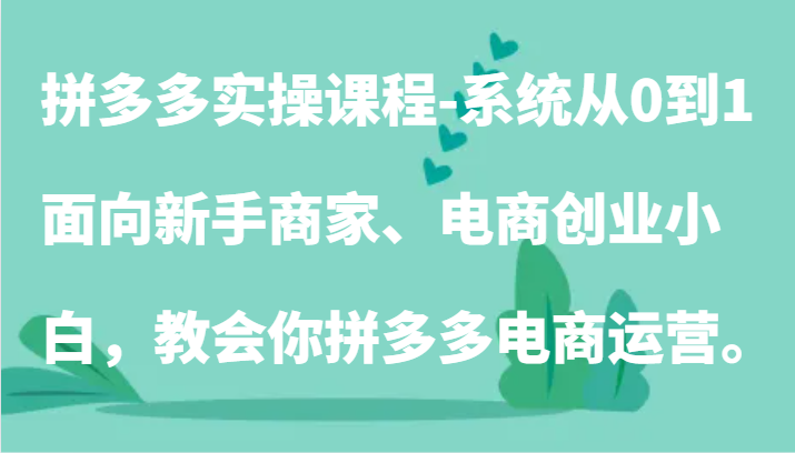 拼多多实操课程-系统从0到1，面向新手商家、电商创业小白，教会你拼多多电商运营。-九零网创