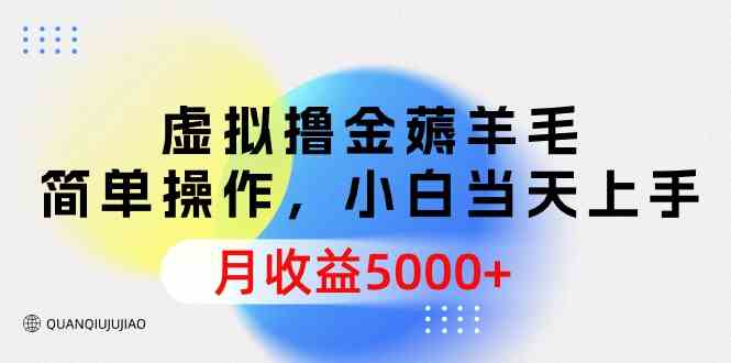 （9864期）虚拟撸金薅羊毛，简单操作，小白当天上手，月收益5000+-九零网创