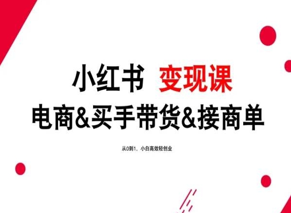 2024年最新小红书变现课，电商&买手带货&接商单，从0到1，小白高效轻创业-九零网创