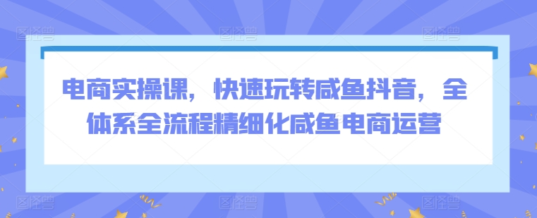 电商实操课，快速玩转咸鱼抖音，全体系全流程精细化咸鱼电商运营-九零网创
