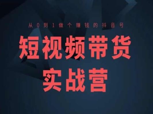 短视频带货实战营(高阶课)，从0到1做个赚钱的抖音号-九零网创