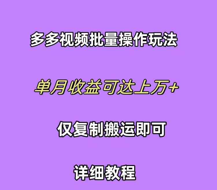 （10029期）拼多多视频带货快速过爆款选品教程 每天轻轻松松赚取三位数佣金 小白必…-九零网创