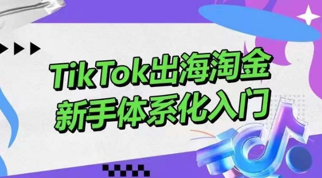 TikTok出海淘金，新手体系化入门，零基础快速入门，掌握短视频、直播带货等引流到变现的知识-九零网创