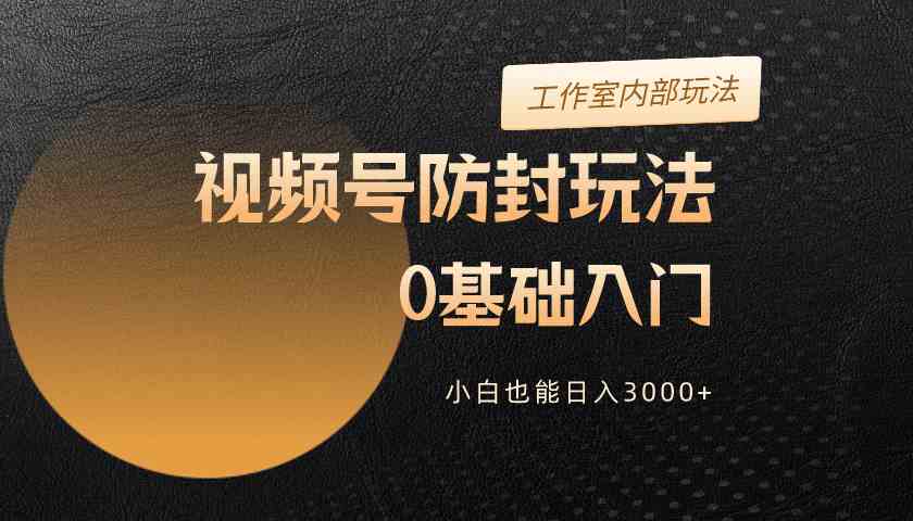 （10107期）2024视频号升级防封玩法，零基础入门，小白也能日入3000+-九零网创