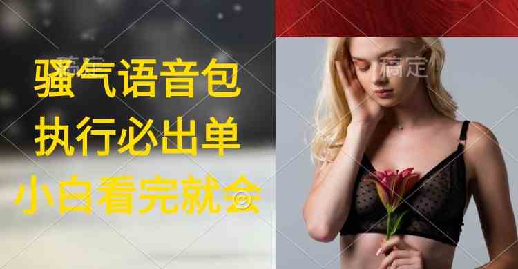 （9589期）执行就出单，日入2000+，超火骚气语音包，小白看完课程就能马上实操-九零网创