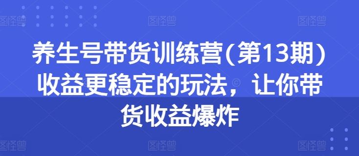养生号带货训练营(第13期)收益更稳定的玩法，让你带货收益爆炸-九零网创