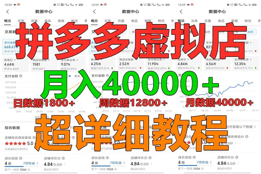 拼多多虚拟电商训练营月入40000+，全网最详细，你做你也行，暴利稳定长久-九零网创