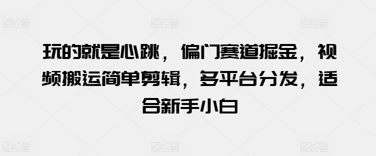 玩的就是心跳，偏门赛道掘金，视频搬运简单剪辑，多平台分发，适合新手小白-九零网创