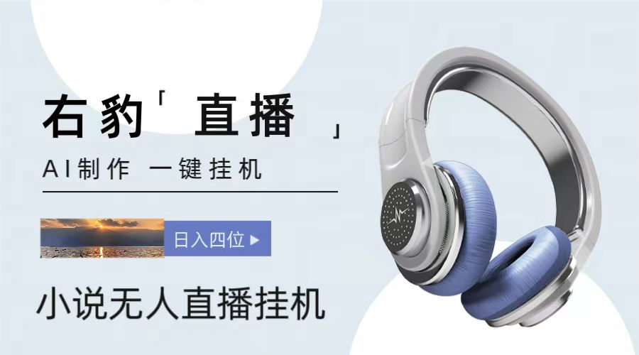 右豹小说无人直播挂机吸金项目，简单易行收益稳定， 月入1000+-九零网创
