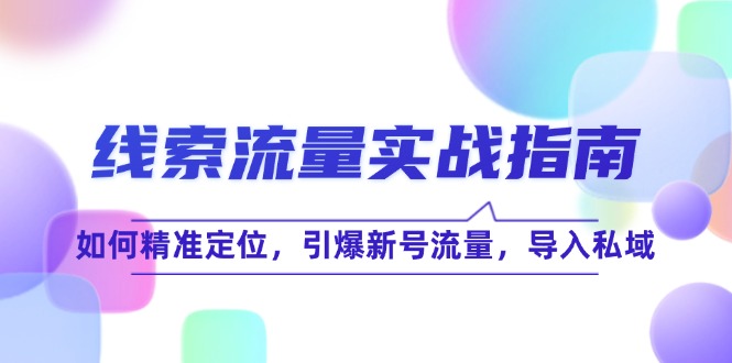 （12382期）线 索 流 量-实战指南：如何精准定位，引爆新号流量，导入私域-九零网创