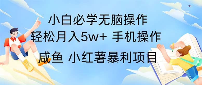 （11953期）2024热门暴利手机操作项目，简单无脑操作，每单利润最少500-九零网创