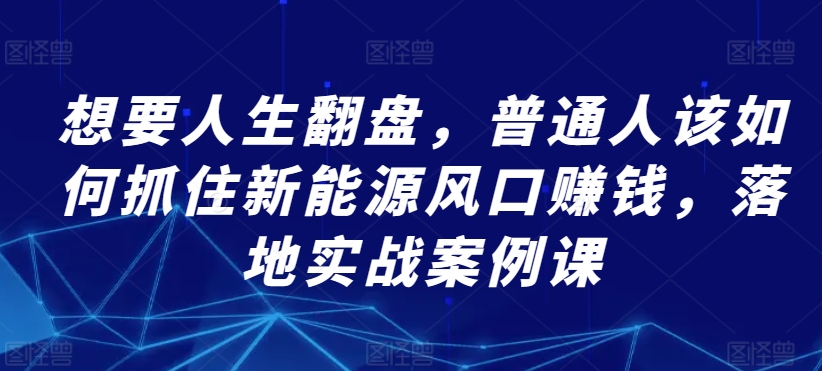 想要人生翻盘，普通人该如何抓住新能源风口赚钱，落地实战案例课-九零网创
