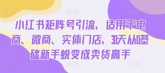 小红书矩阵号引流，适用于电商、微商、实体门店，30天从0基础新手蜕变成卖货高手-九零网创