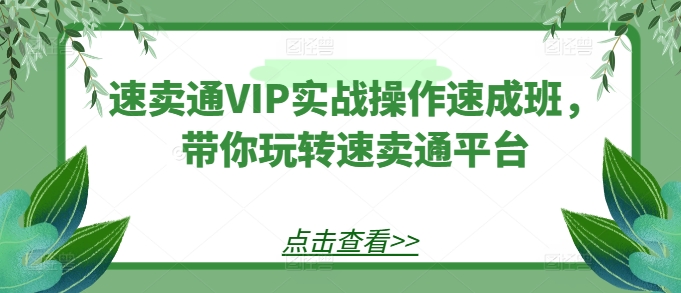 速卖通VIP实战操作速成班，带你玩转速卖通平台-九零网创