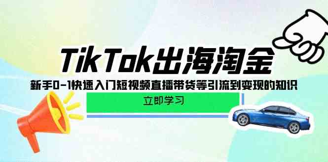 TikTok出海淘金，新手0-1快速入门短视频直播带货等引流到变现的知识-九零网创