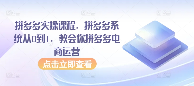 拼多多实操课程，拼多多系统从0到1，教会你拼多多电商运营-九零网创