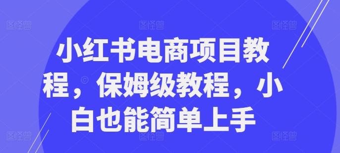 小红书电商项目教程，保姆级教程，小白也能简单上手-九零网创