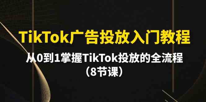 TikTok广告投放入门教程，从0到1掌握TikTok投放的全流程（8节课）-九零网创