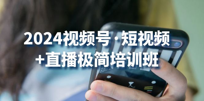 2024视频号短视频+直播极简培训班：抓住视频号风口，流量红利-九零网创