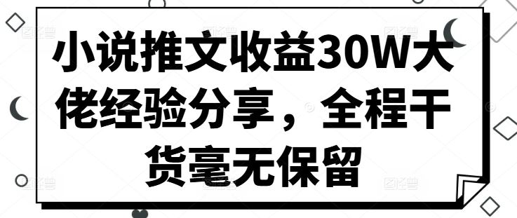 小说推文收益30W大佬经验分享，全程干货毫无保留-九零网创