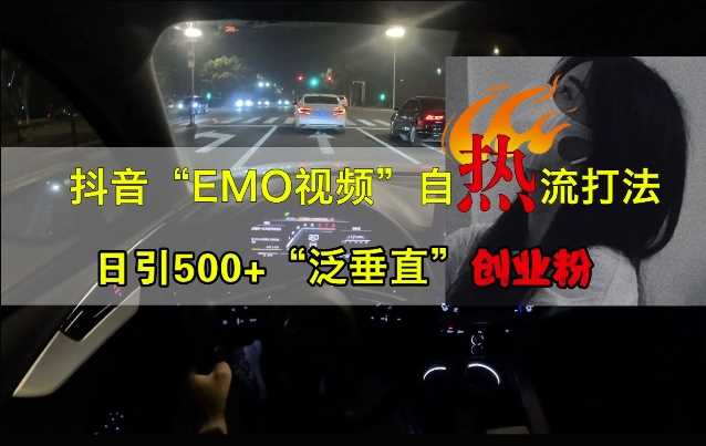 抖音EMO视频自热打法，日引500+“泛垂直”创业粉-九零网创