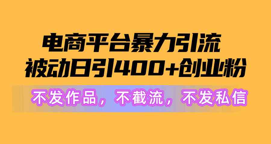（10168期）电商平台暴力引流,被动日引400+创业粉不发作品，不截流，不发私信-九零网创