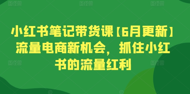 小红书笔记带货课【6月更新】流量电商新机会，抓住小红书的流量红利-九零网创