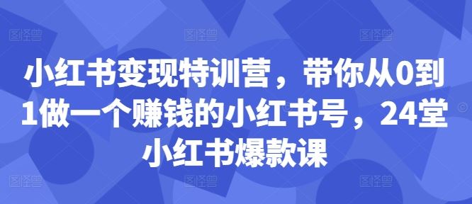 小红书变现特训营，带你从0到1做一个赚钱的小红书号，24堂小红书爆款课-九零网创