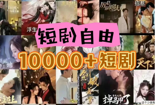 打造完全属于自己的个人短剧库，实现网盘拉新与私域变现的完美融合！-九零网创