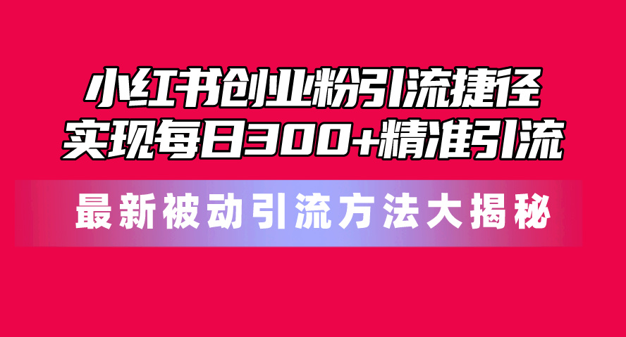 （10692期）小红书创业粉引流捷径！最新被动引流方法大揭秘，实现每日300+精准引流-九零网创