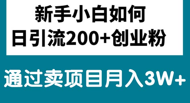 （10843期）新手小白日引流200+创业粉,通过卖项目月入3W+-九零网创
