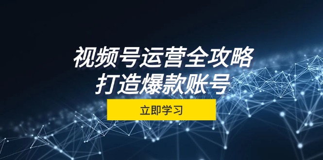 视频号运营全攻略，从定位到成交一站式学习，视频号核心秘诀，打造爆款账号-九零网创