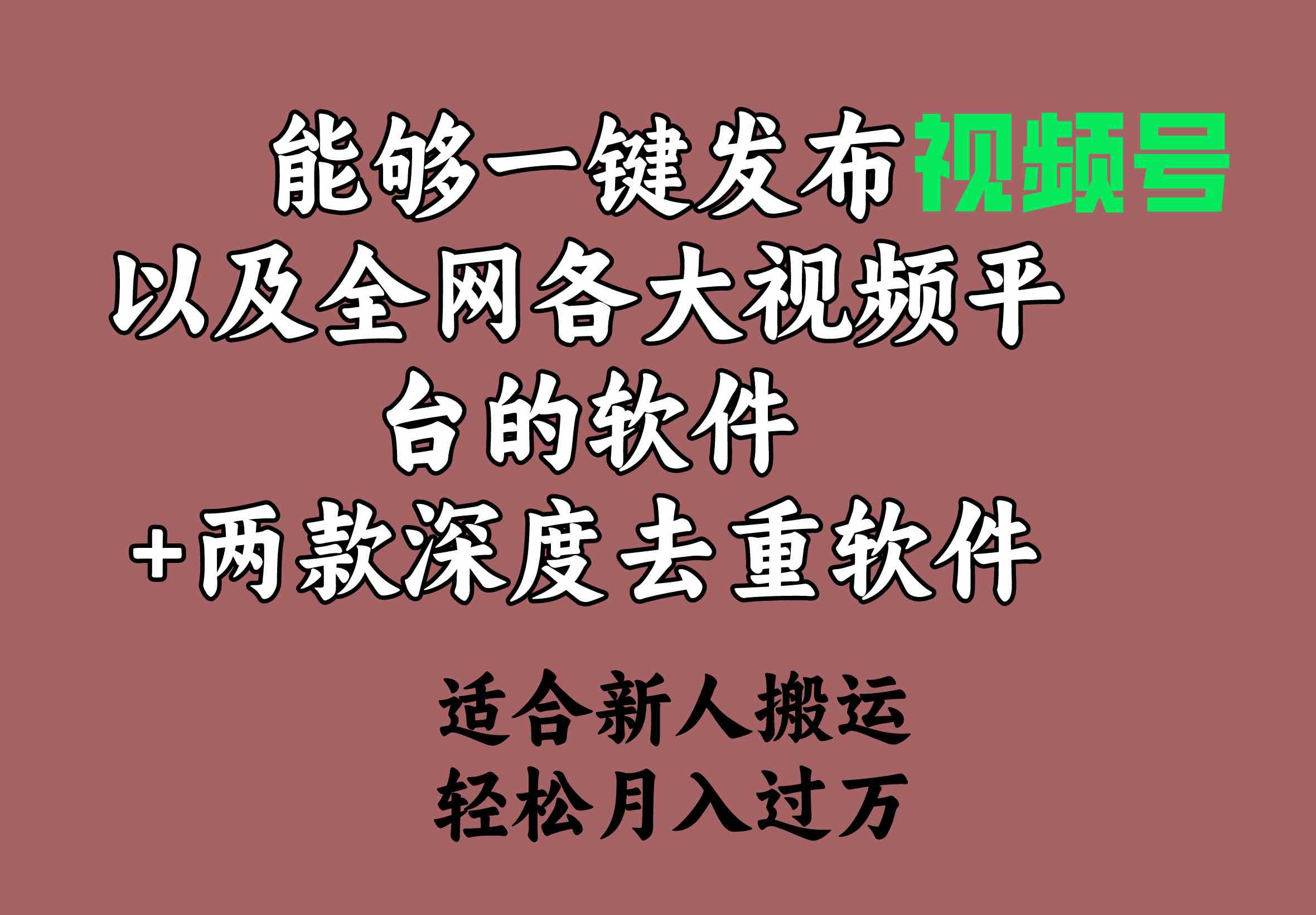 （9319期）能够一键发布视频号以及全网各大视频平台的软件+两款深度去重软件 适合…-九零网创