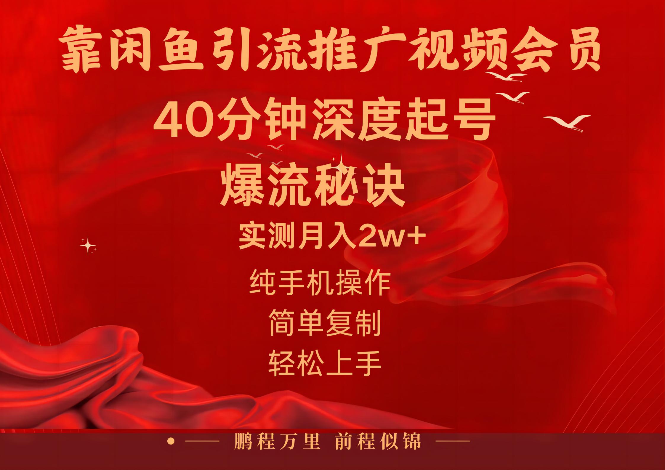 （10895期）闲鱼暴力引流推广视频会员，能做到日入2W+，操作简单-九零网创