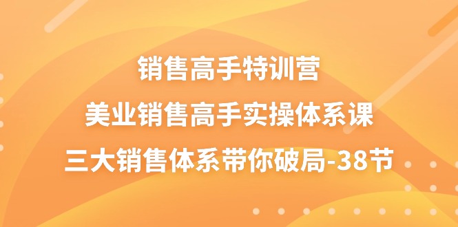 销售高手特训营，美业销售高手实操体系课，三大销售体系带你破局（38节）-九零网创