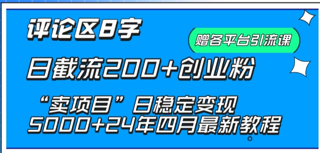 抖音评论区8字日截流200+创业粉 “卖项目”日稳定变现5000+-九零网创