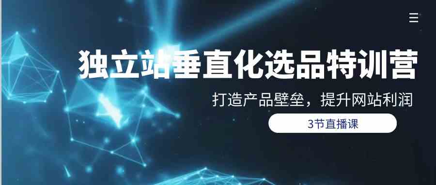 独立站垂直化选品训练营，打造产品壁垒，提升网站利润（3节直播课）-九零网创