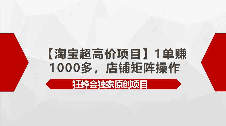 （9849期）【淘宝超高价项目】1单赚1000多，店铺矩阵操作-九零网创