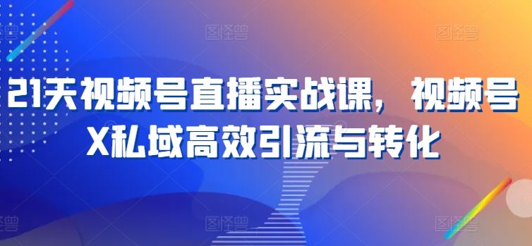 21天视频号直播实战课，视频号X私域高效引流与转化-九零网创