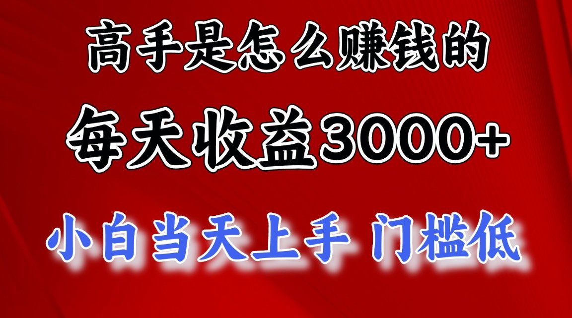高手是怎么赚钱的，一天收益3000+，闷声发财项目，不是一般人能看懂的-九零网创