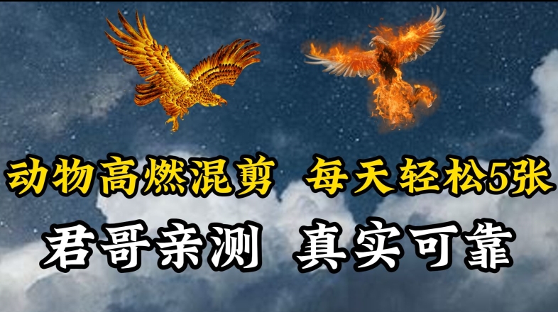 动物超燃混剪，每天轻松5张，剪辑简单大家爱看-九零网创