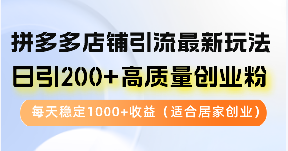 （12893期）拼多多店铺引流最新玩法，日引200+高质量创业粉，每天稳定1000+收益（…-九零网创