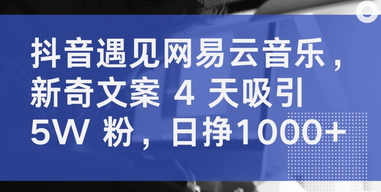 抖音遇见网易云音乐，新奇文案 4 天吸引 5W 粉，日挣1000+-九零网创