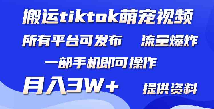 （9618期）搬运Tiktok萌宠类视频，一部手机即可。所有短视频平台均可操作，月入3W+-九零网创
