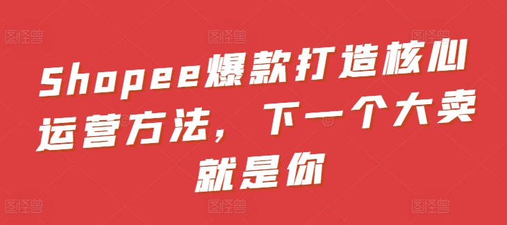 Shopee爆款打造核心运营方法，下一个大卖就是你-九零网创