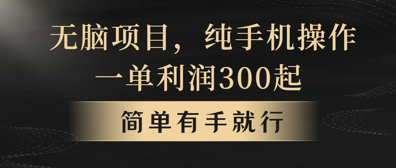 （10589期）无脑项目，一单几百块，轻松月入5w+，看完就能直接操作-九零网创