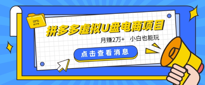拼多多虚拟U盘电商红利项目：月赚2万+，新手小白也能玩-九零网创