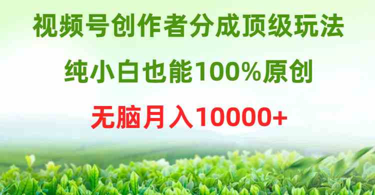 （9608期）视频号创作者分成顶级玩法，纯小白也能100%原创，无脑月入10000+-九零网创