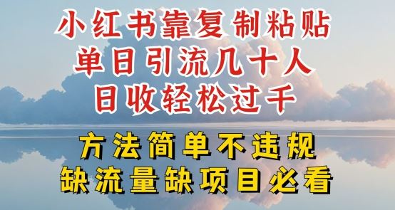 小红书靠复制粘贴单日引流几十人目收轻松过千，方法简单不违规【揭秘】-九零网创
