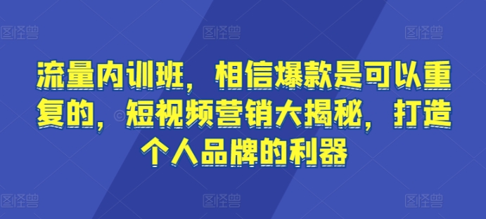 流量内训班，相信爆款是可以重复的，短视频营销大揭秘，打造个人品牌的利器-九零网创